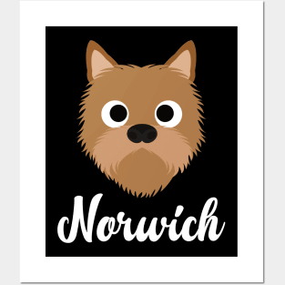 Norwich - Norwich Terrier Posters and Art